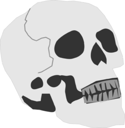 Graveyard Png - free transparent PNG image, no background, HD download