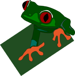 Images Of Red Eyed Frog - free transparent PNG image, no background, HD download
