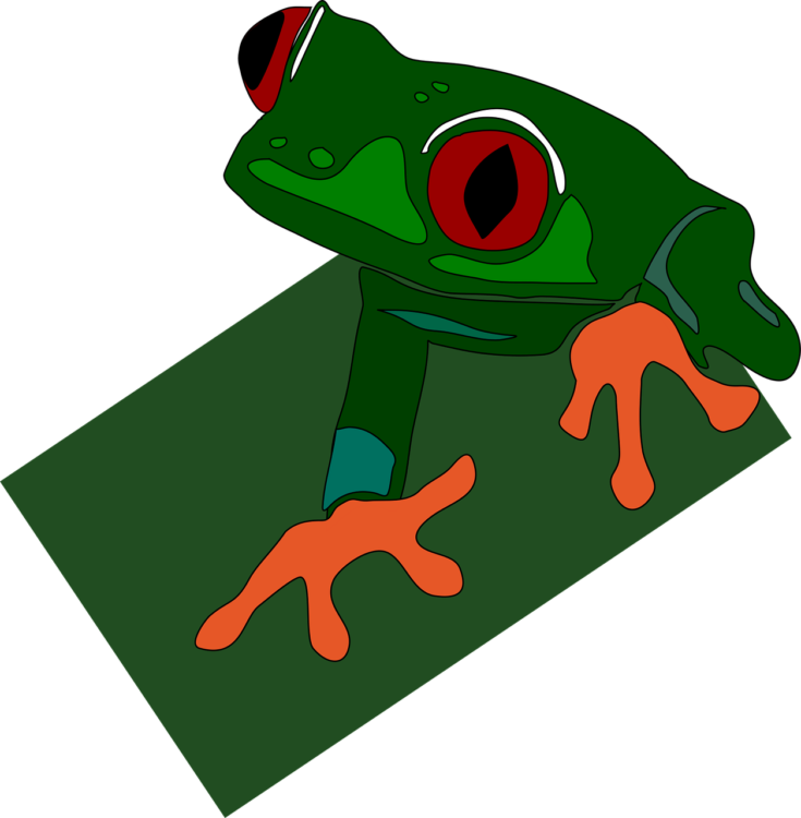 Images Of Red Eyed Frog - free transparent PNG image, no background, HD download