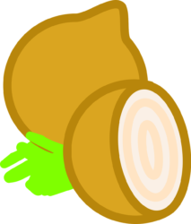 Onion Png - free transparent PNG image, no background, HD download