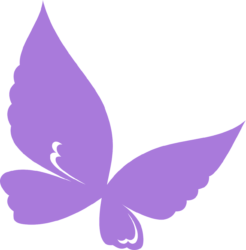 Purple Butterfly Png Purple Butterfly Png - free transparent PNG image, no background, HD download