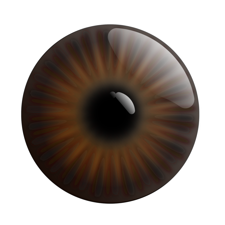 Realistic Eye Png - free transparent PNG image, no background, HD download