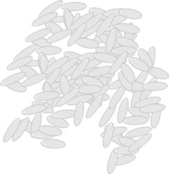 Rice Png - free transparent PNG image, no background, HD download
