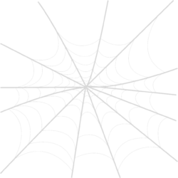 Spiderweb Png - free transparent PNG image, no background, HD download