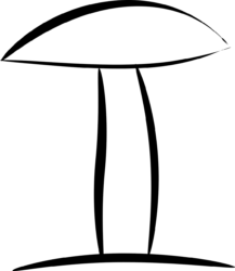 Sponge Png - free transparent PNG image, no background, HD download
